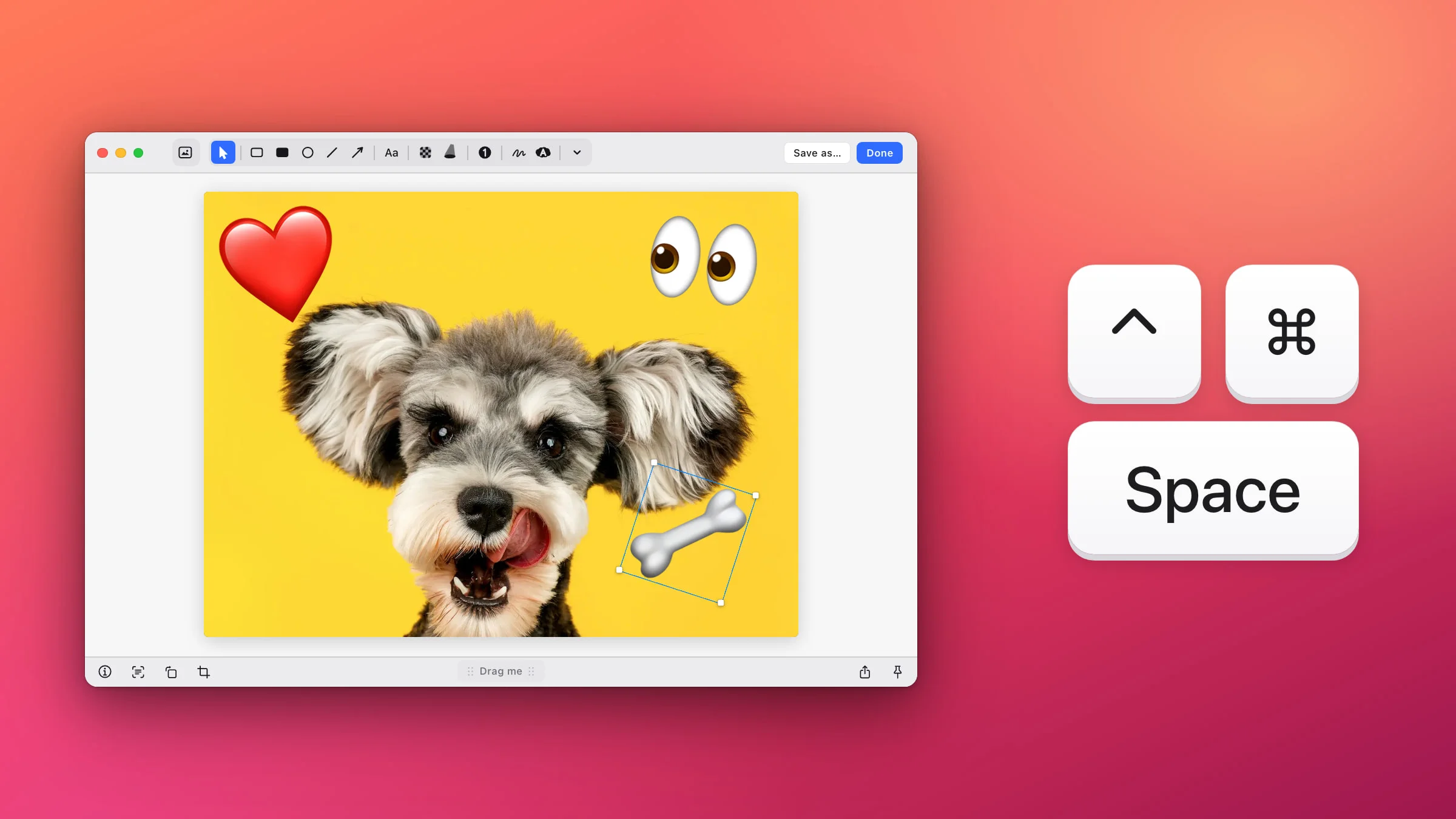 The Snapix editor showing a schnauzer photo on yellow with three emoji stickers (a red heart, a pair of eyes and a selected bone), beside large ⌃ ⌘ Space keycaps.