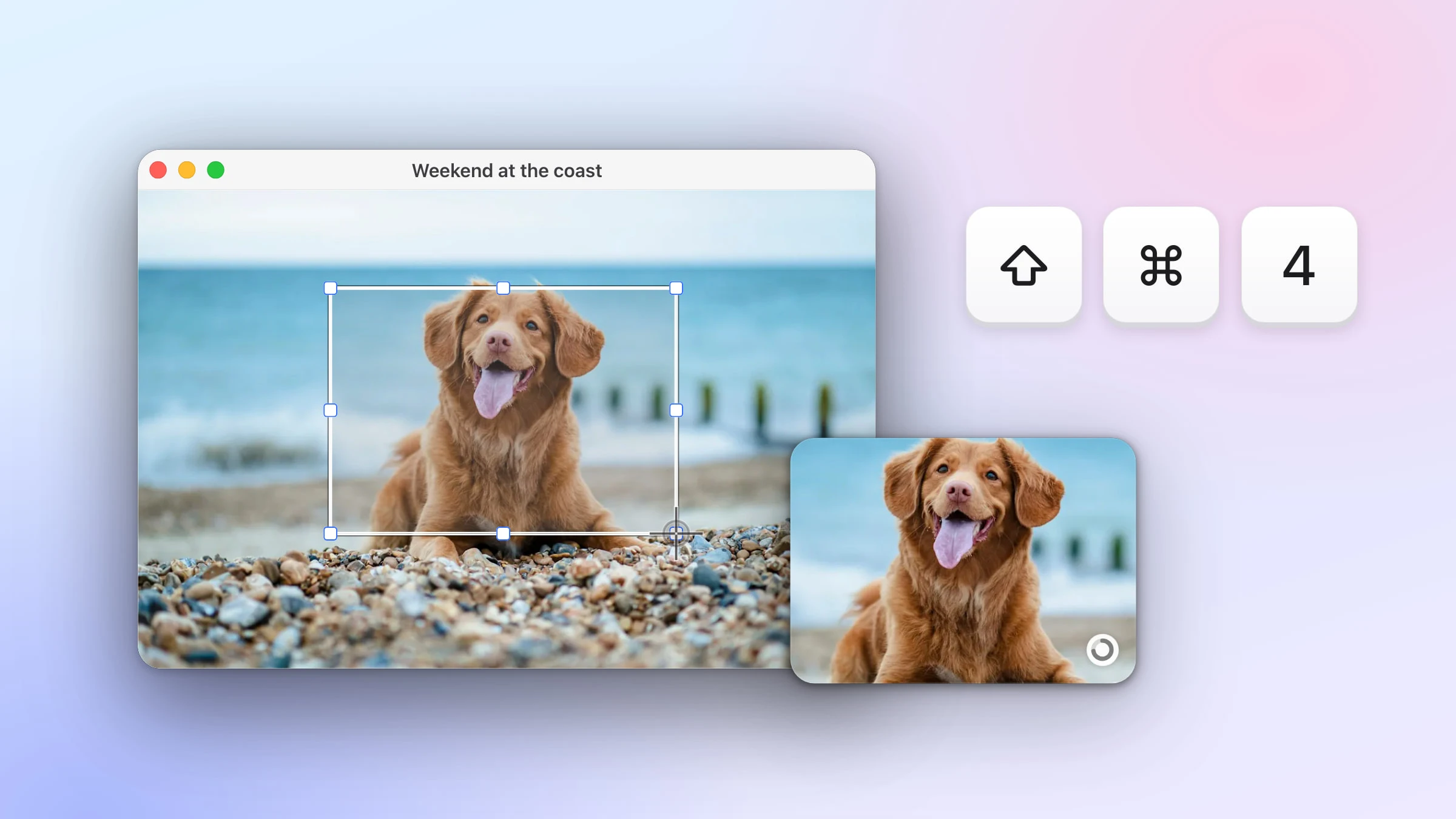 A Mac window with a photo of a dog on a beach, an area selection dragged around the dog, the Snapix preview card with that same crop landing over the window corner, and the keys Shift, Command and 4