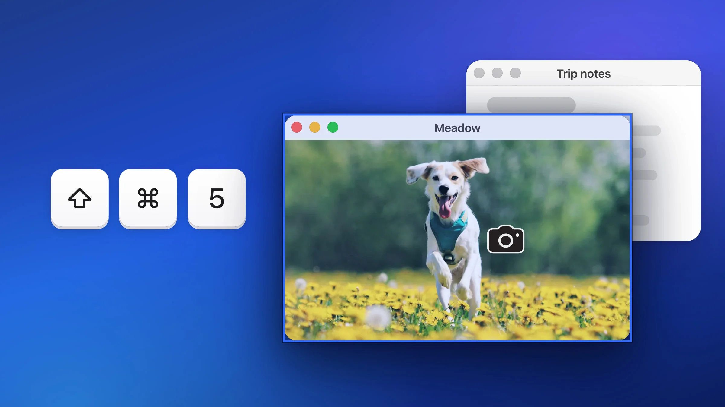 A Mac window with a photo of a dog running through yellow flowers, outlined in blue by the Snapix window picker with the camera pointer on it, a second window behind it, and large ⇧ ⌘ 5 keycaps