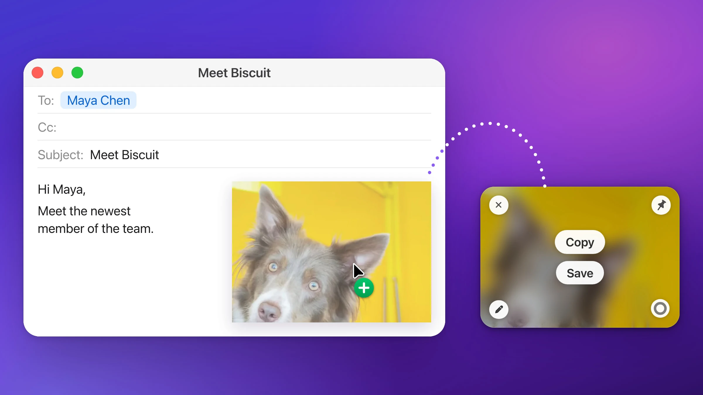A Snapix preview card of a dog on a yellow wall, with its Copy and Save buttons, and a dotted path to the same picture being dragged into the body of a Mail message to Maya Chen under a pointer with a green plus