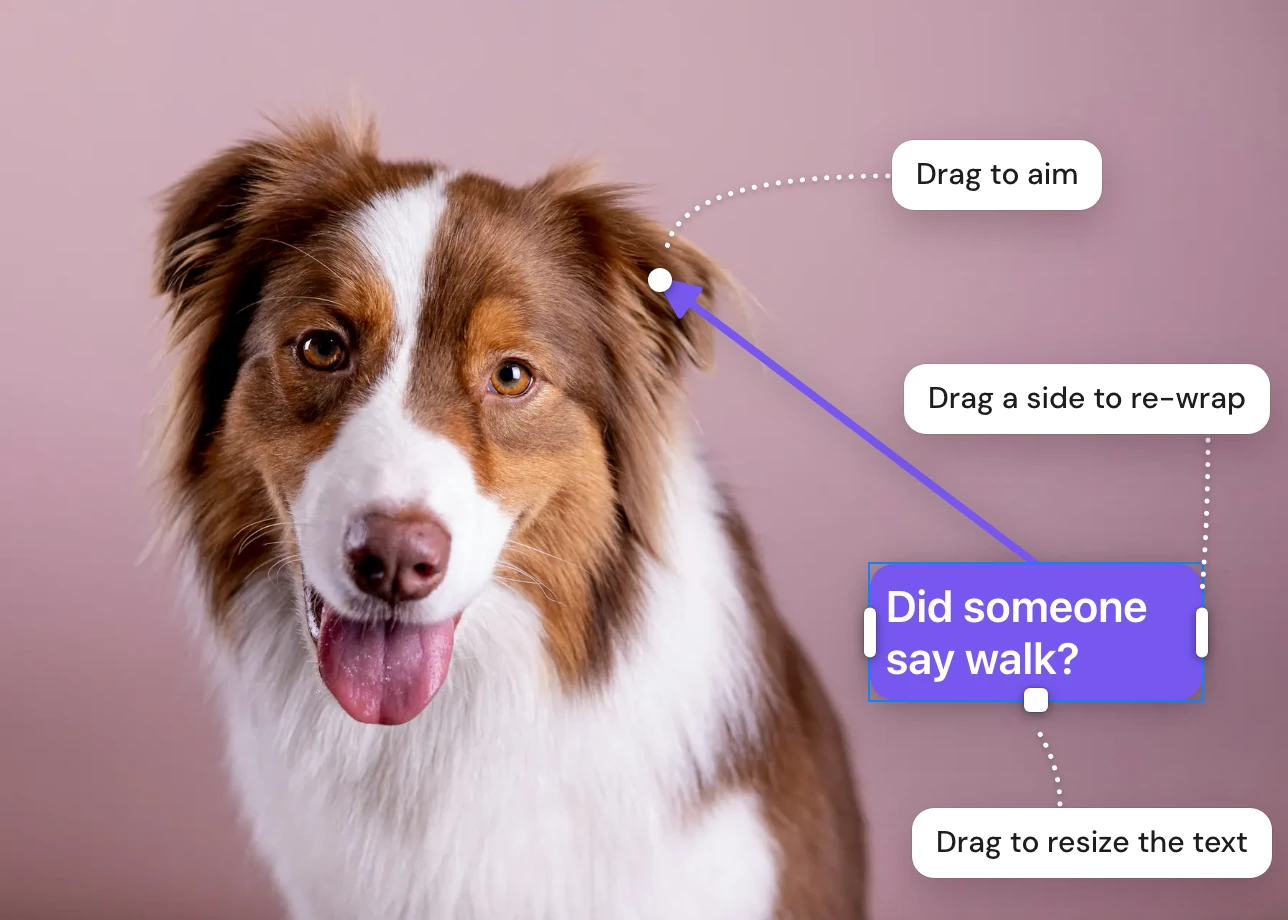 A selected purple speech bubble reading Did someone say walk? on a photo of a dog, its pointer aimed at the dog's ear. Notes name its grips: a slim bar on each side to re-wrap the text, a square on the bottom edge to resize it, and a circle at the pointer's tip to aim it