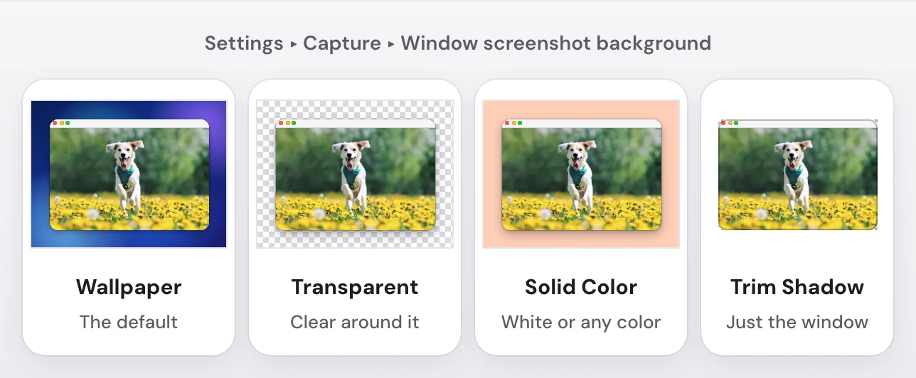 The same window captured with each Snapix window screenshot background: Wallpaper, the default, with the window padded over a blue wallpaper; Transparent, padded on a checkered clear background; Solid Color, padded on a peach fill; and Trim Shadow, just the window