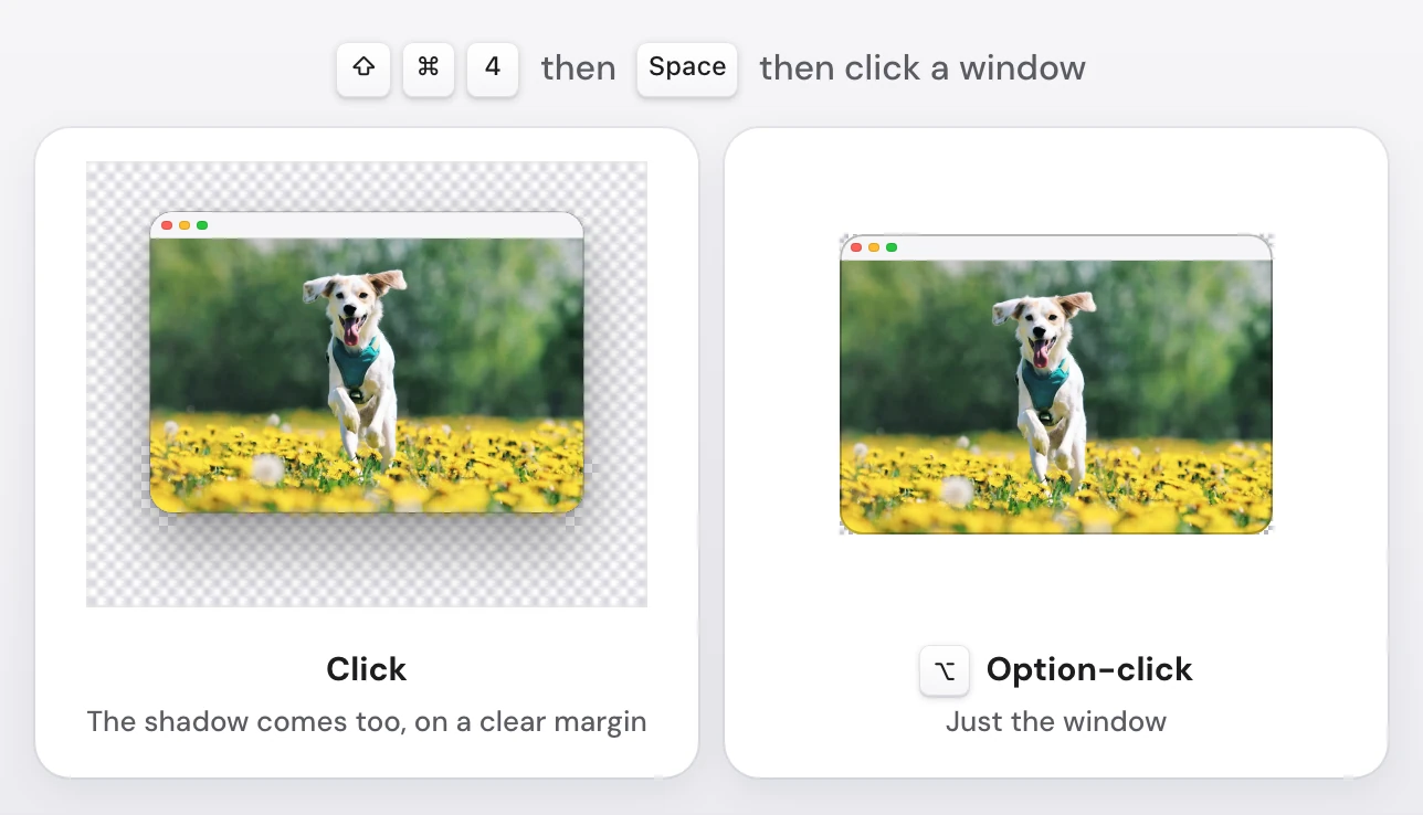 Two window screenshots taken on a Mac with Shift-Command-4 and then Space. A plain click gives the window with its shadow on a transparent margin. An Option-click gives just the window, with no margin and its rounded corners clear.